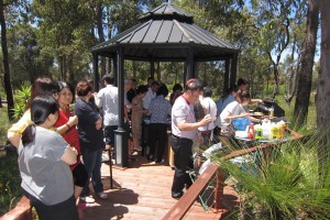 121024_SpringWildflower(15)