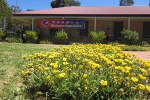 121024_SpringWildflower(16)