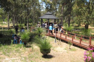 121024_SpringWildflower(17)