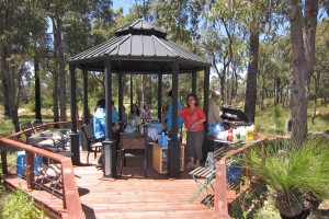 121024_SpringWildflower(18)