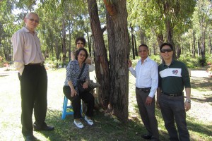 121024_SpringWildflower(2)